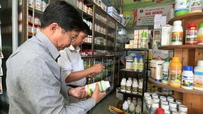 Tan Chau refuerza el control y repele gradualmente el contrabando
