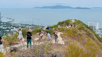 迷子の観光客の継続的な救助
