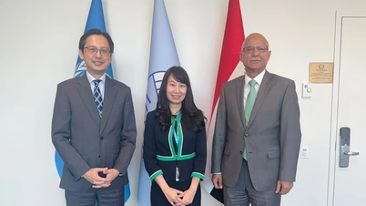 Le Vietnam s'engage à contribuer plus activement au groupe G77 à l'ONU
