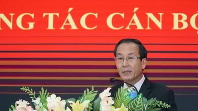 Dak Nong anuncia nuevo trabajo de cuadros a nivel comunal en Dak Song