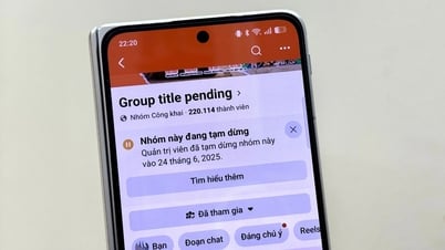 Несколько групп в Facebook во Вьетнаме одновременно прекратили работу.
