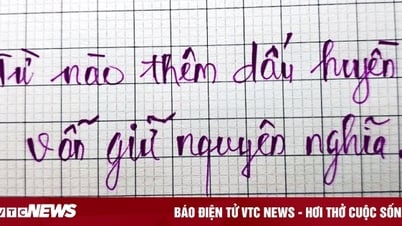 Từ nào thêm dấu huyền vẫn giữ nguyên nghĩa?