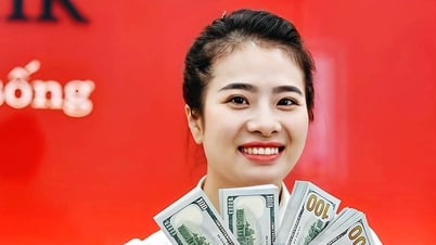 ราคาเงินดอลลาร์สหรัฐฯ พุ่งสูงเกิน 26,300 ดอง สูงสุดเป็นประวัติการณ์