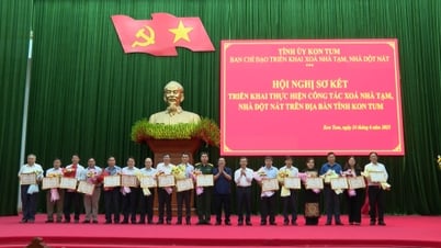 Kon Tum completes elimination of temporary and dilapidated houses