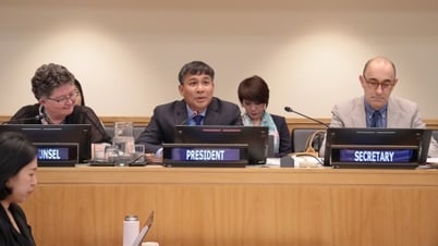Вьетнам впервые председательствует на Конференции государств-участников Конвенции ООН по морскому праву