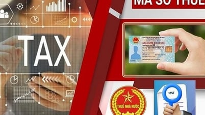 Hướng dẫn triển khai số định danh cá nhân chính thức thay mã số thuế từ 1/7