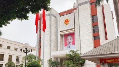 كل بلدية ومنطقة جديدة في هانوي لديها 3 أقسام متخصصة.