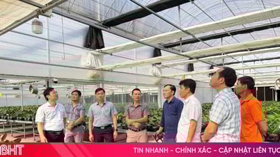 Sớm có chính sách nhân rộng mô hình trồng lan công nghệ cao tại Hà Tĩnh