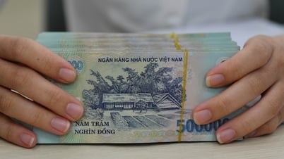 Cục Thuế yêu cầu dừng kiểm tra thuế tại trụ sở người nộp thuế