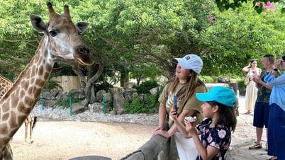 Giới trẻ biến công nghệ trở thành “đại sứ” du lịch