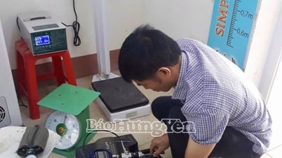 一次医療機関における医療機器としての計測機器の検査はどのように行うのでしょうか?