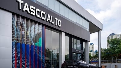 Tasco (HUT) emitió más de 178,5 millones de acciones, precio 10.000 VND