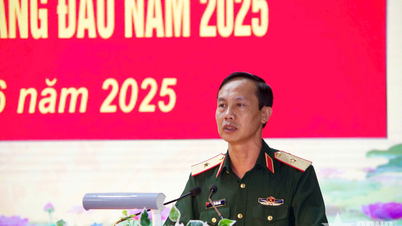 Đảng ủy Sư đoàn 316 tập trung lãnh đạo thực hiện tốt 7 nhiệm vụ trọng tâm