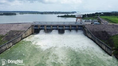 トリアン水力発電所拡張プロジェクトにより、土地面積の 73% が埋め立てられました。