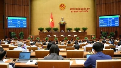Thông qua Luật sửa đổi, bổ sung một số điều của Bộ luật Hình sự: Bỏ án tử hình với 8 tội danh