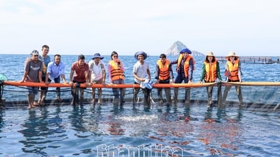 Überprüfung des Fortschritts der Aquakultur in HDPE-Käfigen im Gebiet Hon Noi