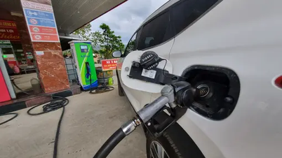 6月25日今日のガソリン価格：変動が激しい、国産ガソリンはどう調整されるのか？