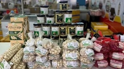 Quảng Ngãi có 2 sản phẩm đạt OCOP 5 sao