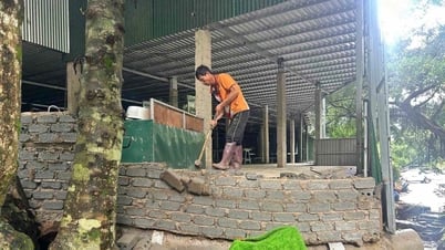 Tăng cường công tác quản lý trật tự xây dựng, đô thị, vệ sinh môi trường, đất đai và bảo vệ rừng