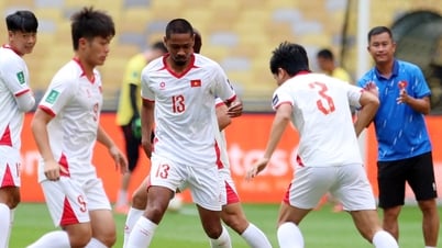 Cao Pendant Quang Vinh : « Cela n'aurait aucun sens si le Vietnam acceptait des joueurs naturalisés qui ne sont pas qualifiés »