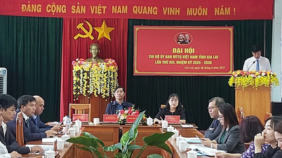 Đại hội Chi bộ Ủy ban MTTQ Việt Nam tỉnh Gia Lai lần thứ XIII