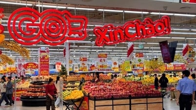 Central Retail đầu tư hơn 1,4 tỷ USD mở rộng hoạt động tại Việt Nam