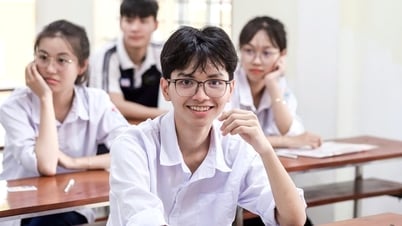 Đáp án môn Toán thi tốt nghiệp THPT năm 2025 - Tất cả 24 mã đề