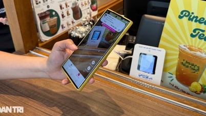 Review and inspect businesses that do not accept money transfers.