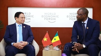 Prime Minister Pham Minh Chinh meets with Senegalese Prime Minister on the occasion of attending WEF 16