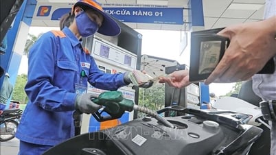Giá xăng dầu tiếp tục tăng từ 15 giờ hôm nay 26/6, sau đó thay đổi từ ngày 1/7