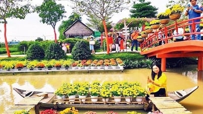 ផែនការអភិវឌ្ឍន៍ទេសចរណ៍ Dong Thap ដំណាក់កាល 2021-2030 ចក្ខុវិស័យដល់ឆ្នាំ 2050