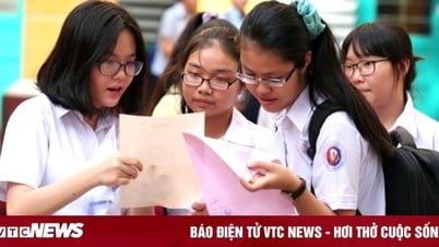 TP.HCM công bố điểm chuẩn lớp 10, cao nhất 24,5