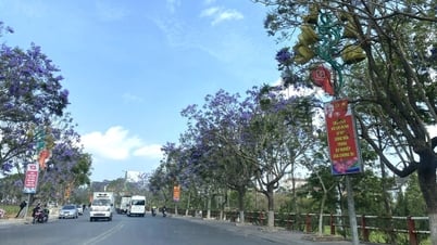 Đà Lạt - thiên nhiên đang chuyển mình