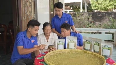 Nông dân 'bắt nhịp' chuyển đổi số