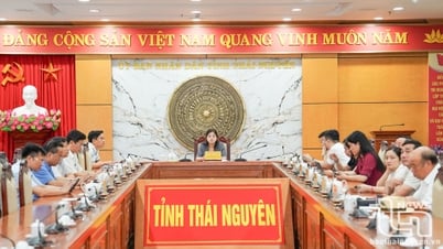 ปลดปล่อยทรัพยากรที่ดินเพื่อการพัฒนาเศรษฐกิจและสังคม