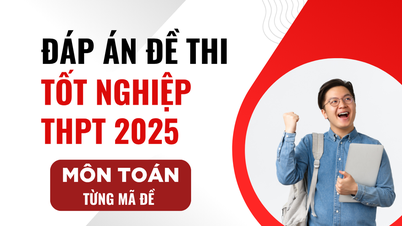 Đáp án môn Toán chương trình hiện hành mã đề 0124 thi tốt nghiệp THPT 2025
