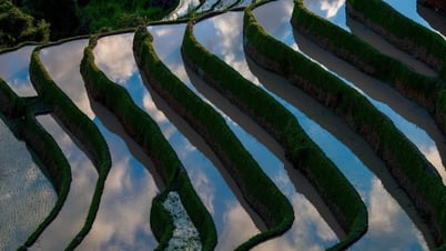 Mu Cang Chai pendant la saison des eaux vives, scintillant de milliers de miroirs