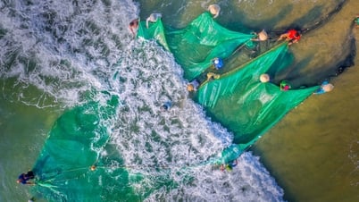 Морская профессия «наоборот»