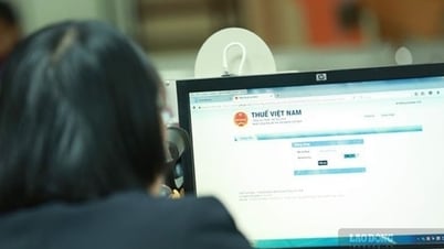 Hướng dẫn sử dụng số định danh cá nhân thay cho mã số thuế từ ngày 1-7-2025