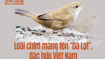 [រូបភាព] ប្រភេទសត្វស្លាបឈ្មោះ "ដាឡាត់" មានដើមកំណើតនៅប្រទេសវៀតណាម