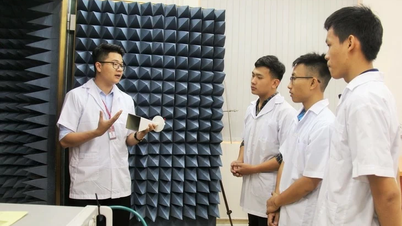 Die Ho Chi Minh City National University lädt viele auf KI spezialisierte Professoren zu Gastvorträgen ein