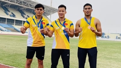 Long An: Đẩy mạnh thực hiện Đề án “Tuyển chọn, đào tạo, bồi dưỡng tài năng thể thao và nhân lực thể thao thành tích cao đến năm 2035”