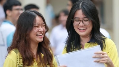 Gợi ý đáp án môn văn tốt nghiệp THPT 2025 theo chương trình cũ
