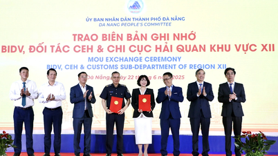 BIDV triển khai giải pháp tài chính, công nghệ cho Khu thương mại tự do Đà Nẵng