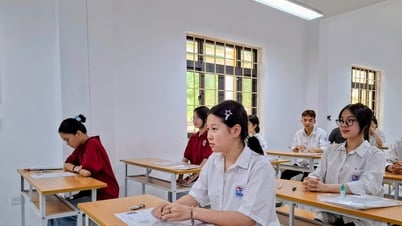 El profesor de literatura elogió el tema.