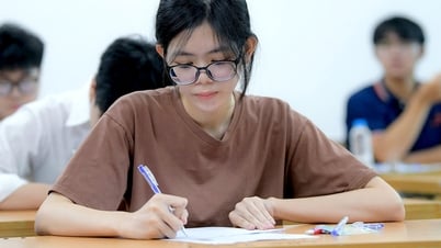 Suggested solutions for the 2025 high school graduation exam literature subject