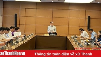 Đóng góp của Đoàn ĐBQH tỉnh tại Kỳ họp thứ 9, Quốc hội khóa XV