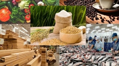إجراءات منح شهادات سلامة الغذاء لمنشآت الإنتاج الزراعي والغابات والسمكي