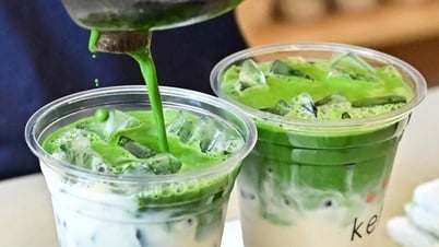 Global matcha craze sweeps away Japanese green tea