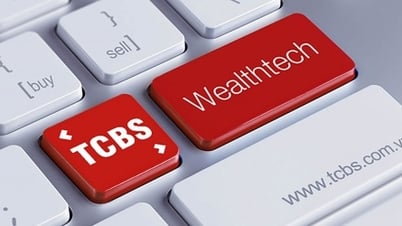تم الكشف عن خطة الطرح العام الأولي: TCBS تريد طرح أكثر من 230 مليون سهم للجمهور